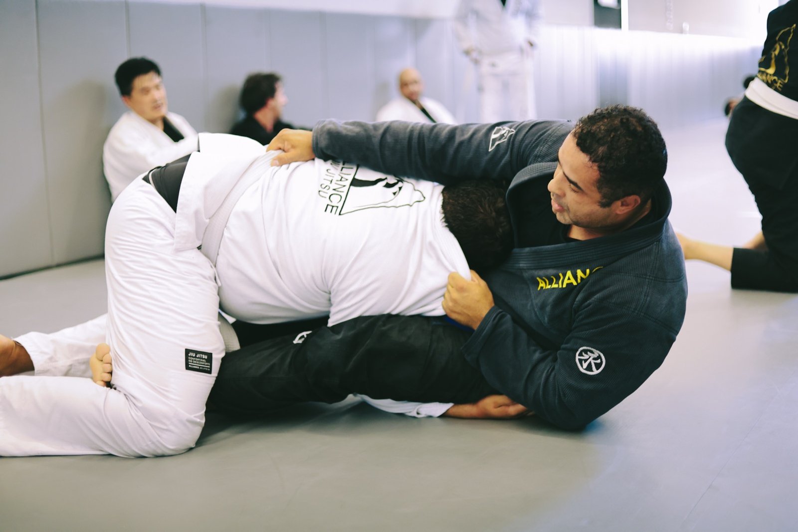Intermediário na Alliance Jiu Jitsu